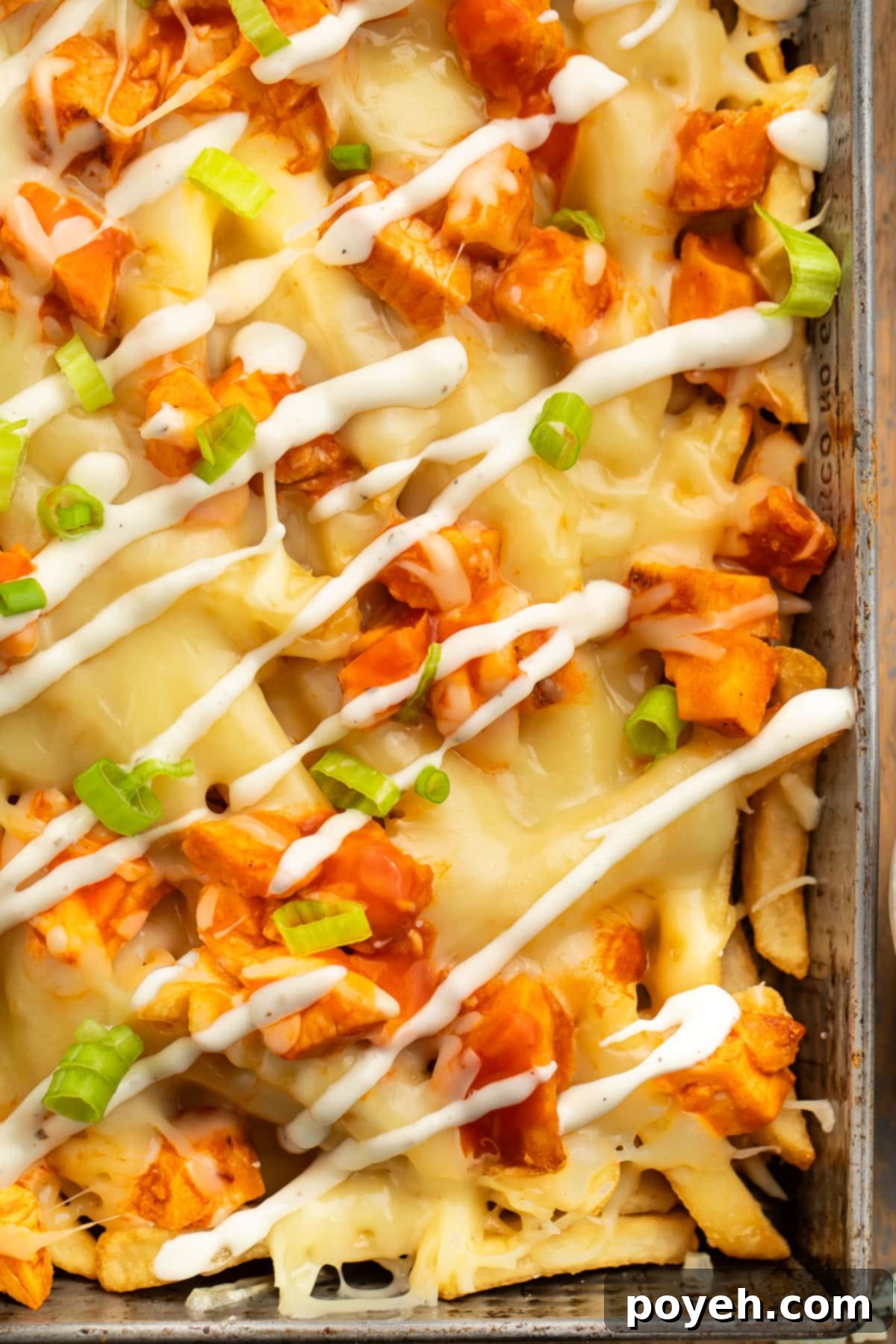 Buffalo Blaze Fries 3 Overhead view of a rectangular baking pan holding french fries topped with buffalo chicken, green onions, and a ranch dressing drizzle.