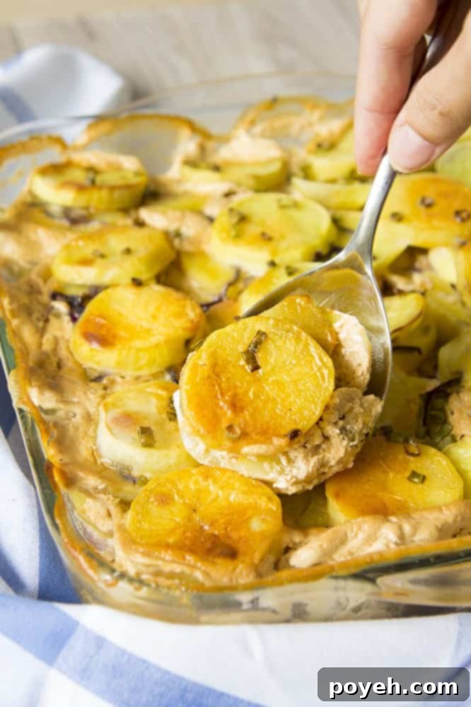 Vegan scalloped potatoes