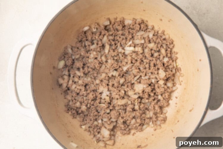 Bison browning in a pot with onions and garlic