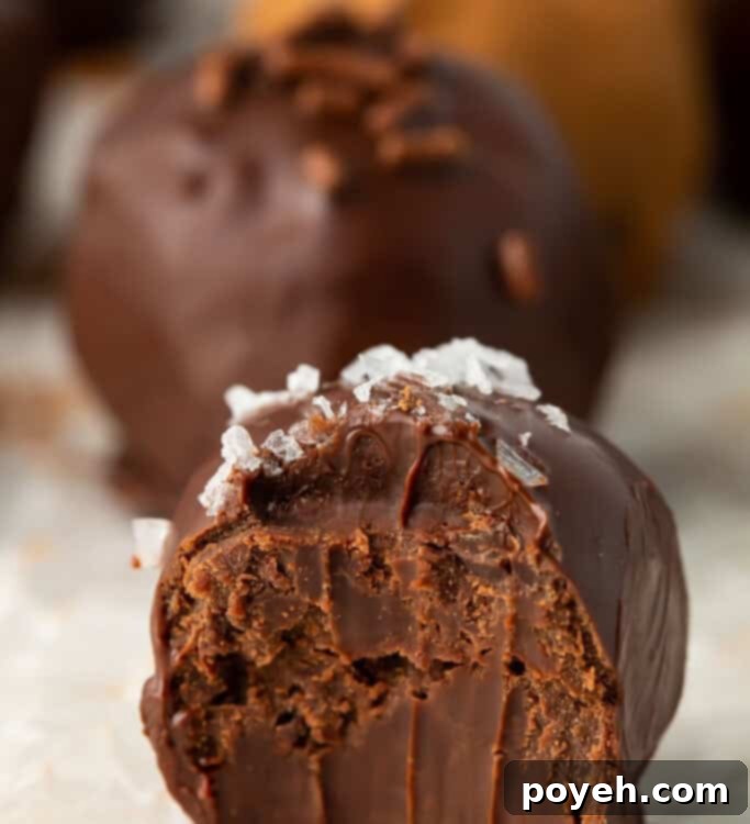 Half eaten truffle topped with sea salt