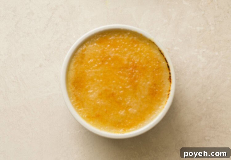 A finished vegan crème brûlée in a small ramekin, perfectly caramelized and ready to be enjoyed.