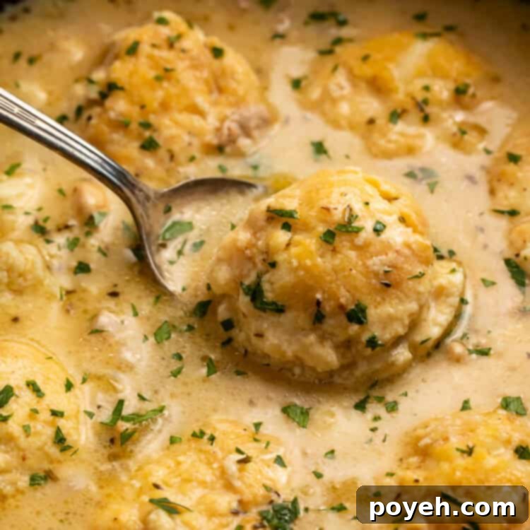 Spoon lifting a dumpling out of a Dutch oven of chicken and dumplings.