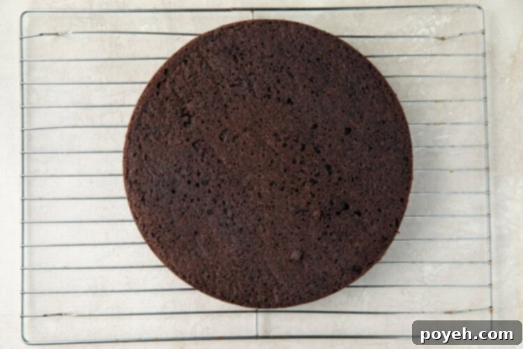 Unfrosted layer of German chocolate cake