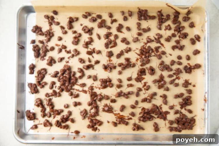 A baking sheet filled with individual chocolate covered espresso beans, neatly arranged on parchment paper.