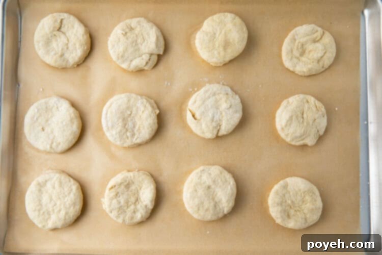 Vegan biscuit dough discs on a parchment-paper lined sheet pan