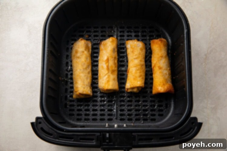 Crispy Air Fryer Frozen Egg Rolls 5 Four frozen egg rolls carefully placed in an air fryer basket, lightly coated with oil and ready to cook.