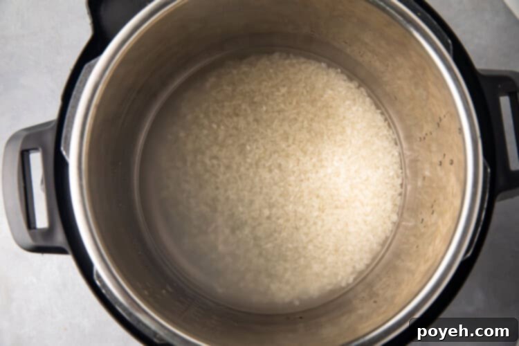 Uncooked sushi rice in an Instant Pot, ready for cooking