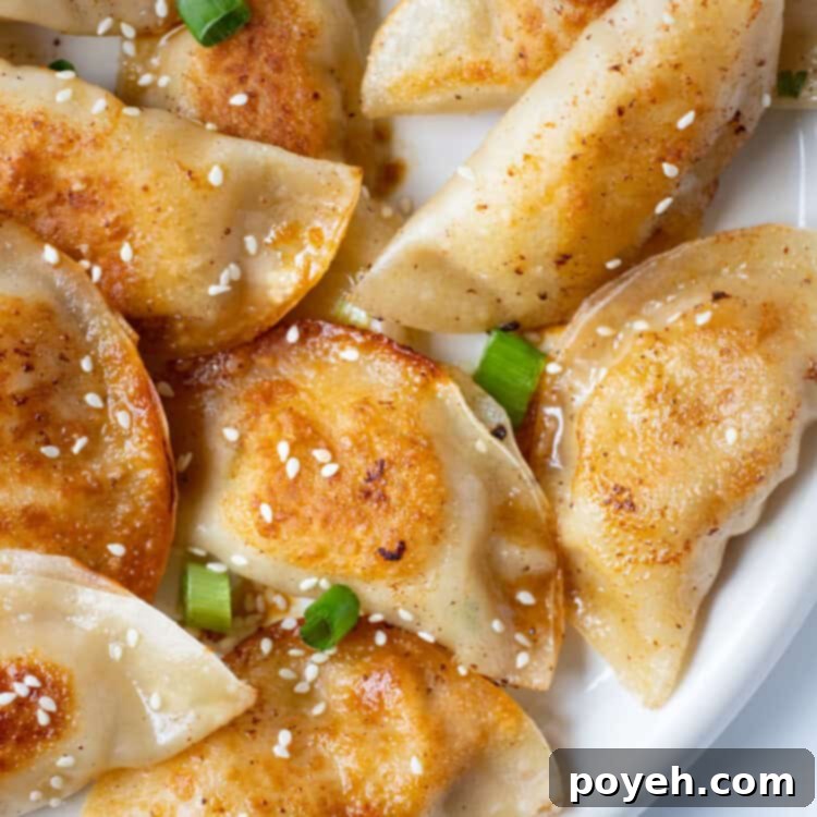 Chicken gyoza close up, featured in the recipe card.