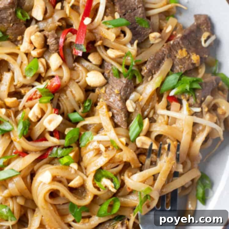 Close up photo of beef pad thai in a white bowl, ready to serve.