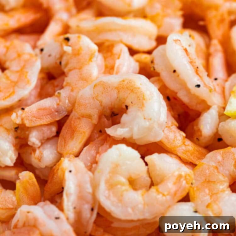Close up image of a pile of cooked shrimp.