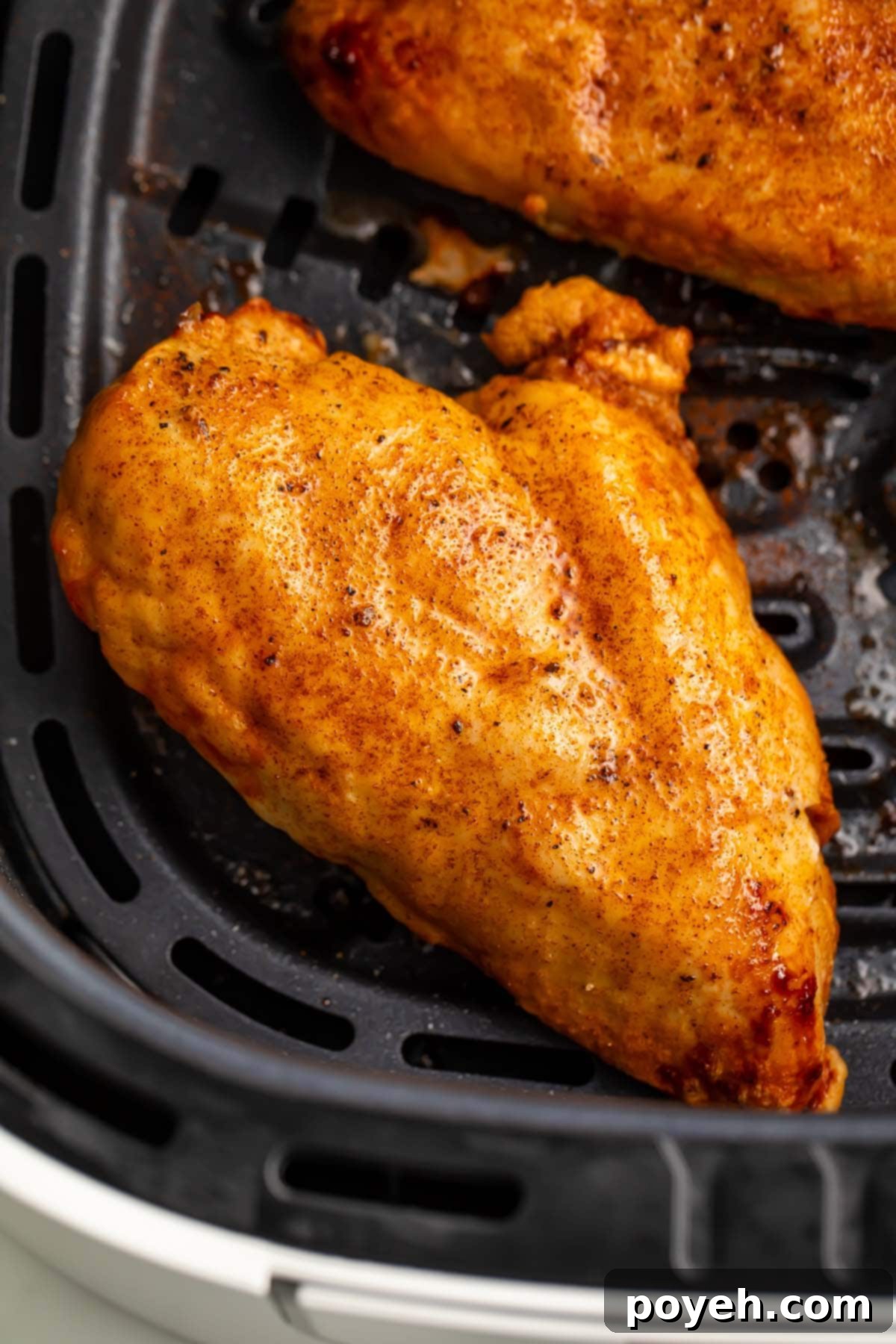 A previously frozen chicken breast in an air fryer basket, ready for cooking.