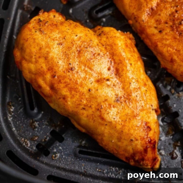 A previously frozen chicken breast in an air fryer basket.