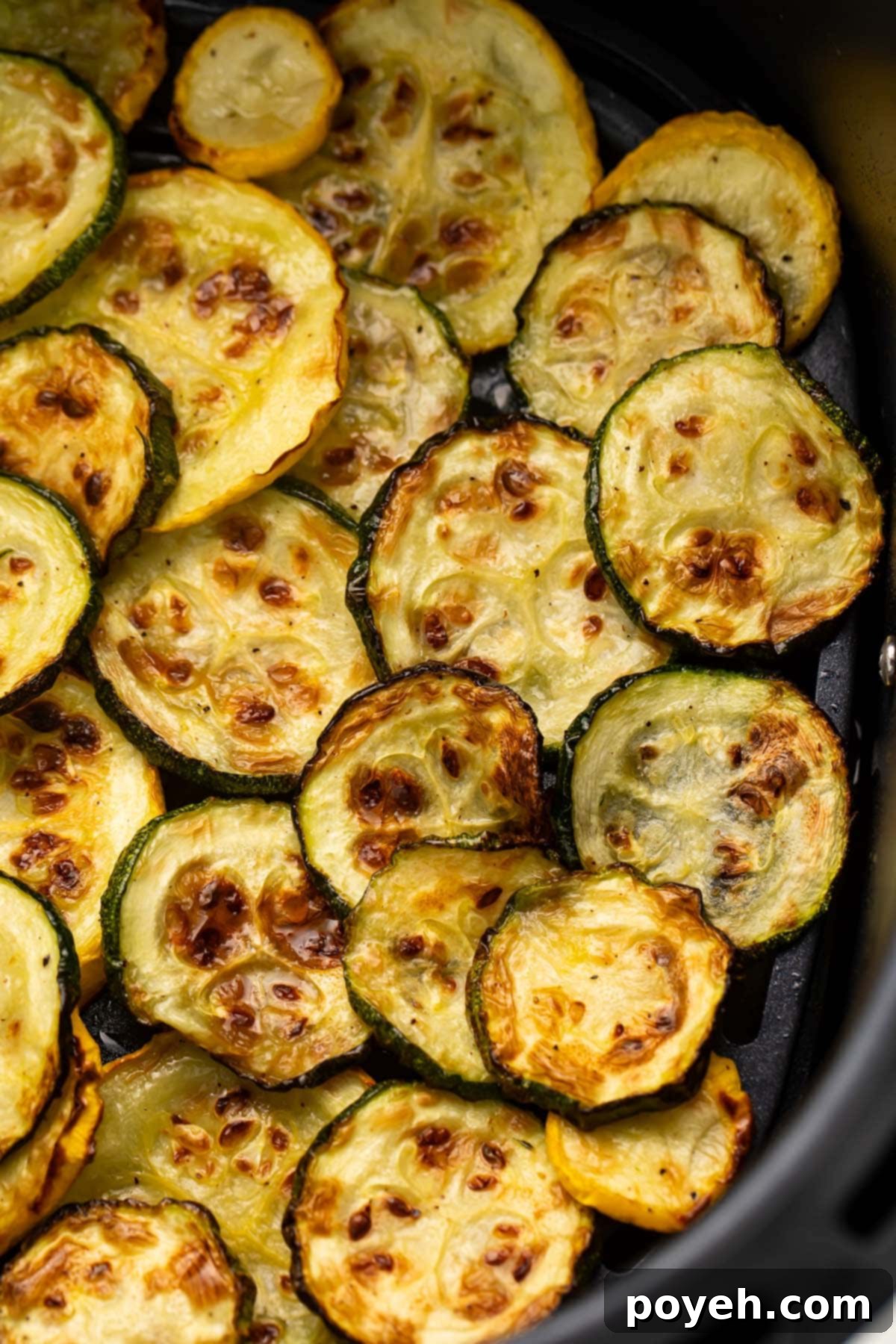 Several discs of yellow and green squash in an air fryer basket, perfectly cooked.