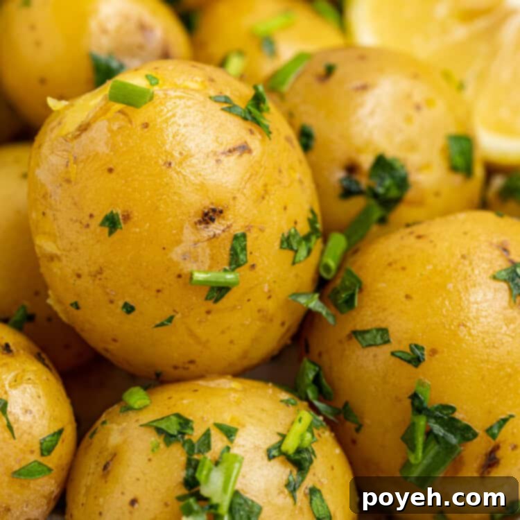 Close-up of steamed baby potatoes, perfectly cooked and coated with butter and fresh herbs.