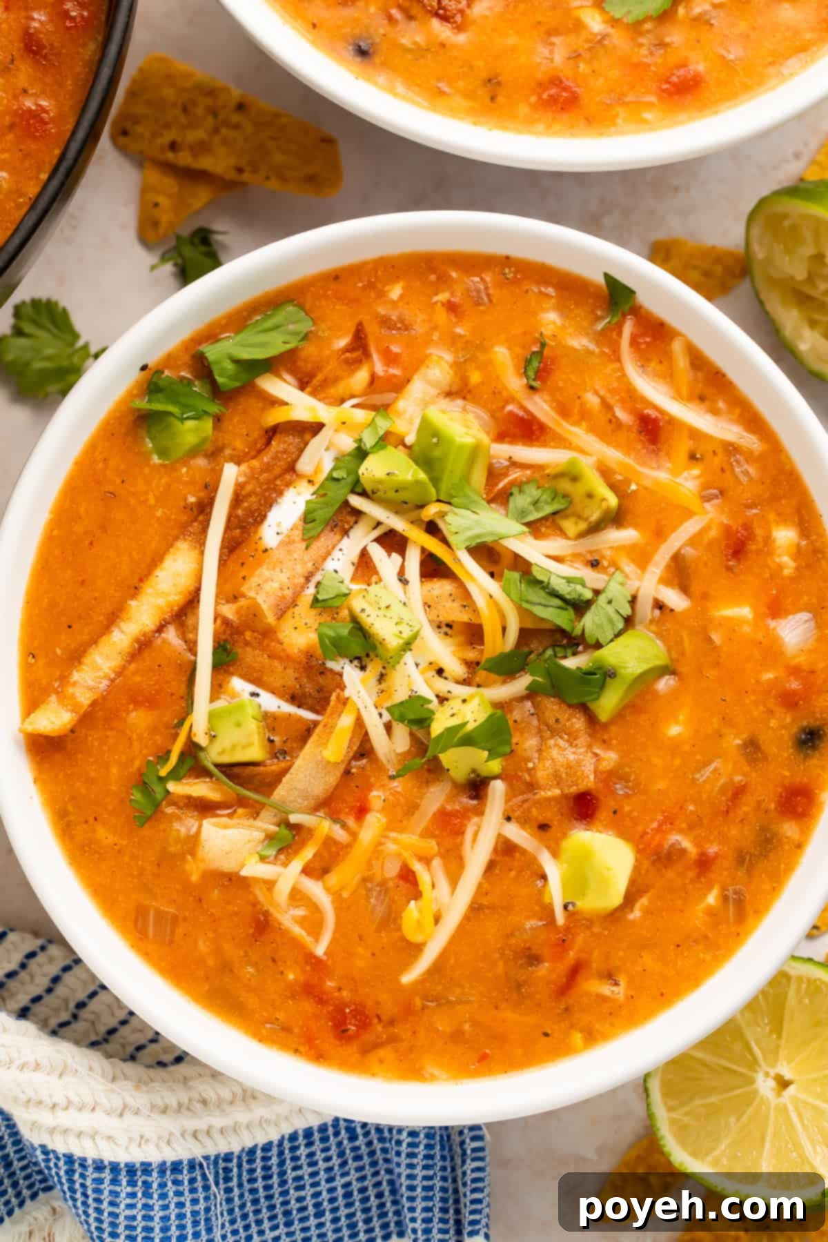 Healthy Chicken Tortilla Soup 2 Creamy Chicken Tortilla Soup with Avocado, Cheese, and Cilantro