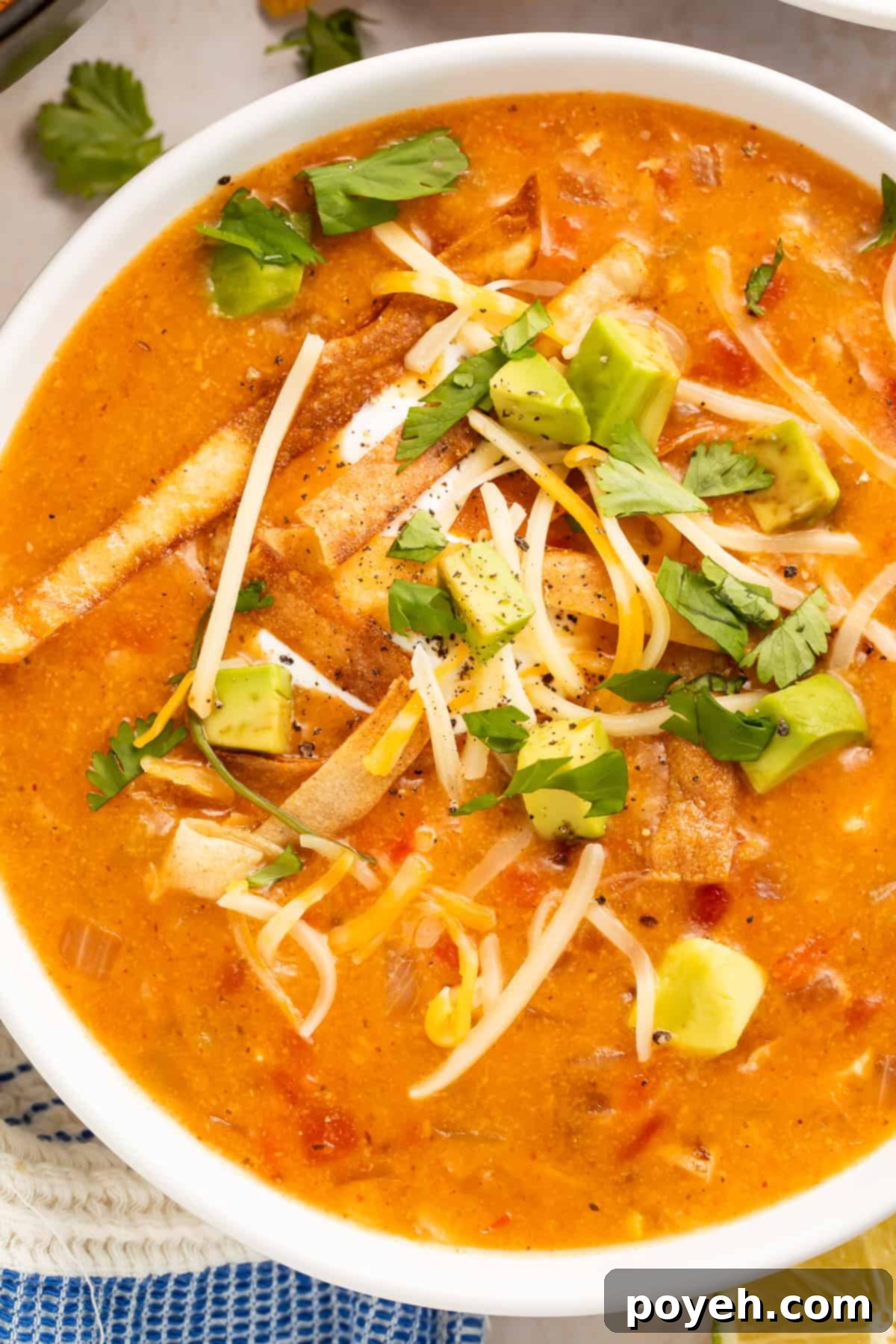 Close-up of Creamy Chicken Tortilla Soup